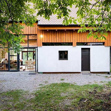Aster Panzio Bed & Breakfast Cimpu Cetatii Exterior photo