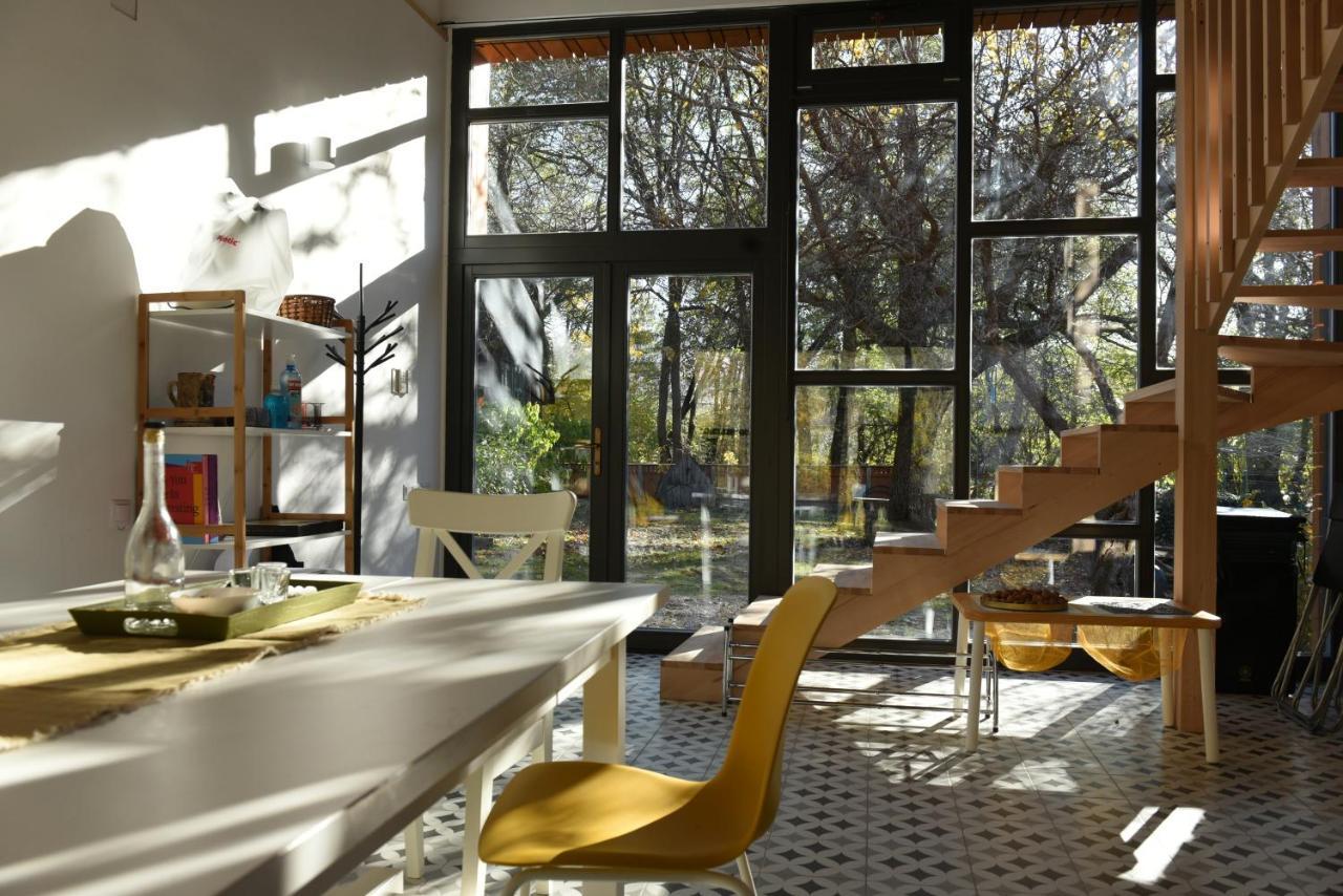 Aster Panzio Bed & Breakfast Cimpu Cetatii Exterior photo