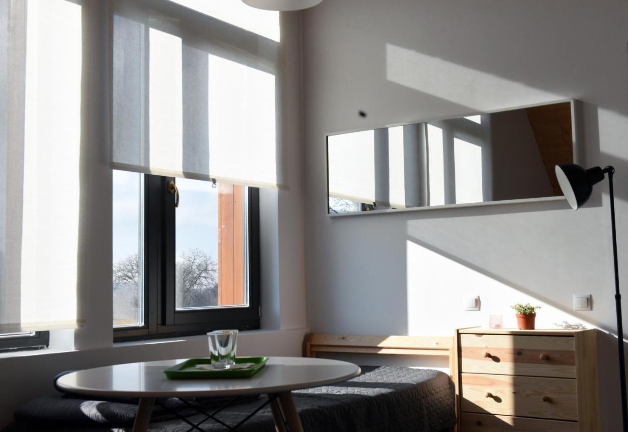 Aster Panzio Bed & Breakfast Cimpu Cetatii Exterior photo
