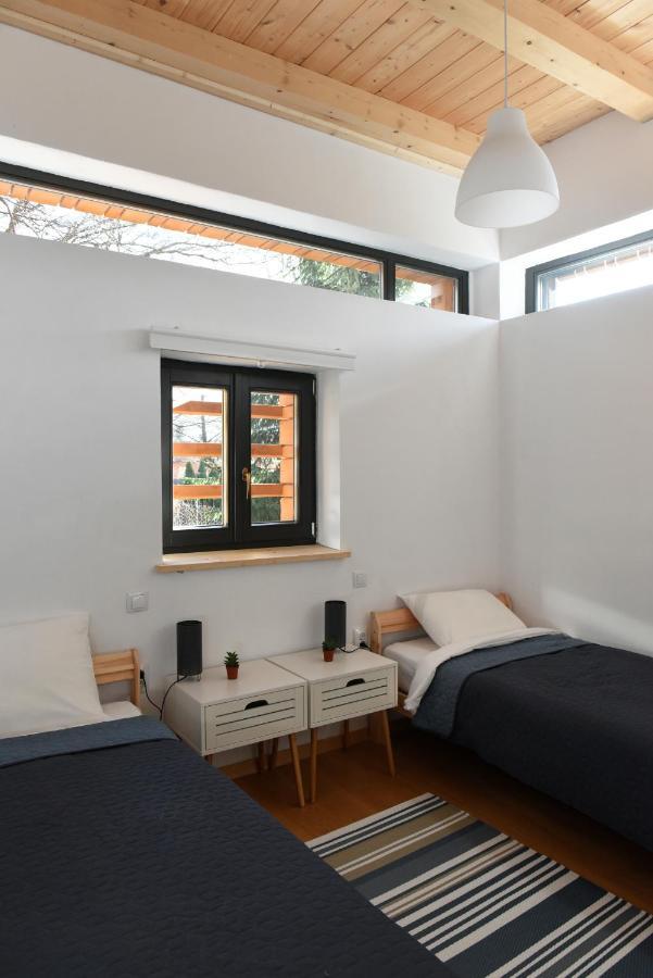 Aster Panzio Bed & Breakfast Cimpu Cetatii Exterior photo