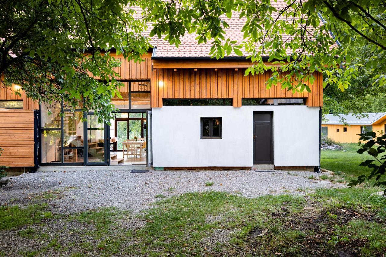 Aster Panzio Bed & Breakfast Cimpu Cetatii Exterior photo