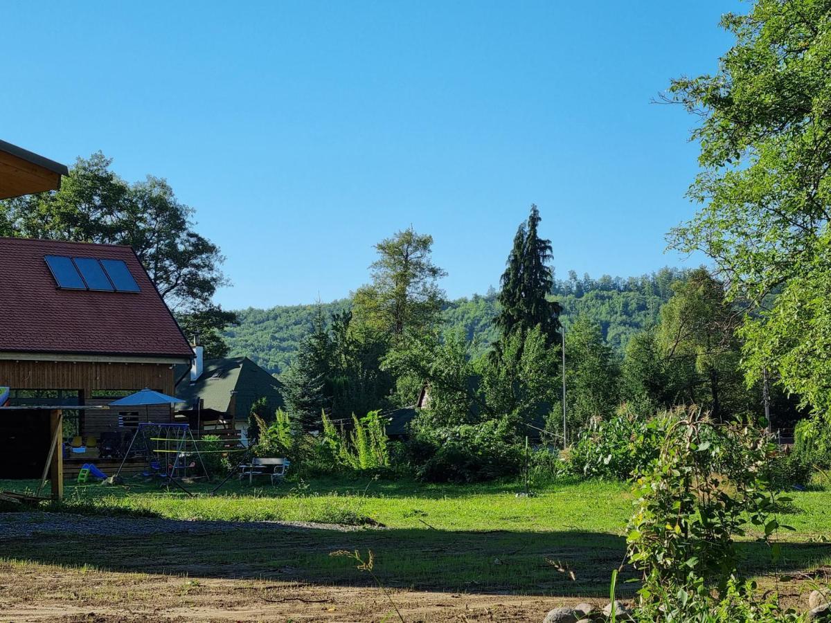 Aster Panzio Bed & Breakfast Cimpu Cetatii Exterior photo
