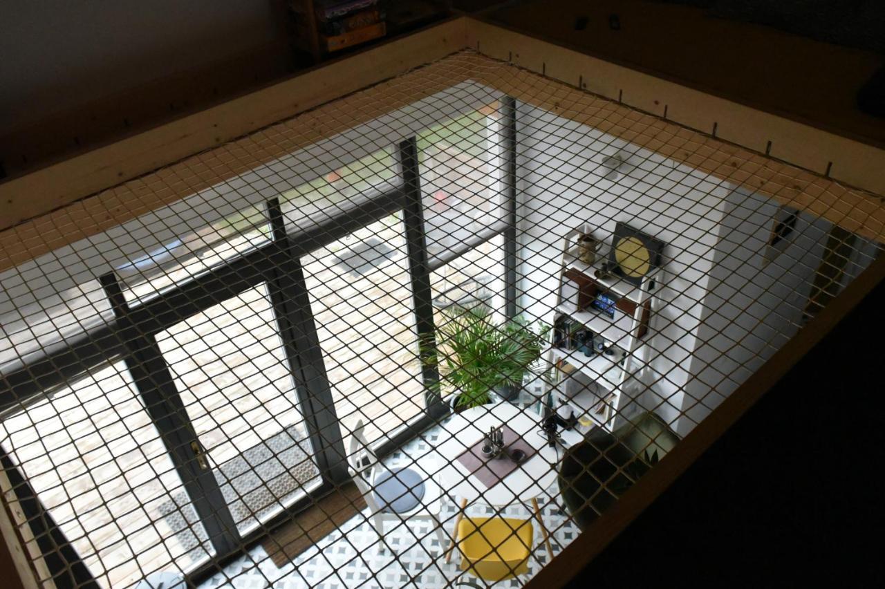 Aster Panzio Bed & Breakfast Cimpu Cetatii Exterior photo