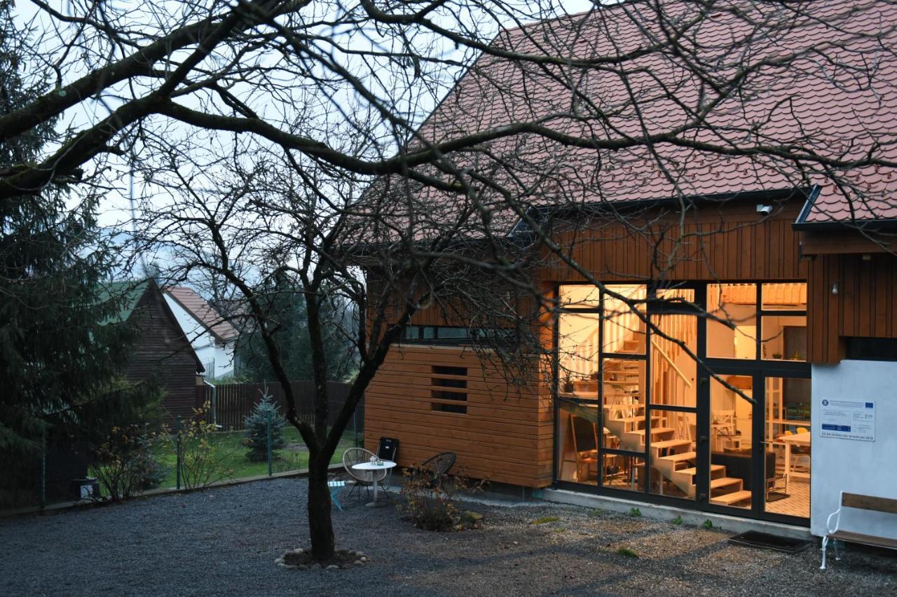 Aster Panzio Bed & Breakfast Cimpu Cetatii Exterior photo