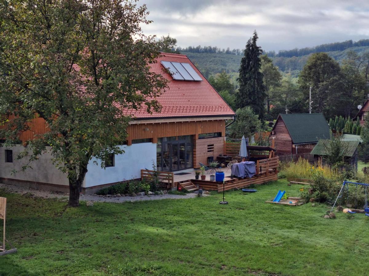 Aster Panzio Bed & Breakfast Cimpu Cetatii Exterior photo