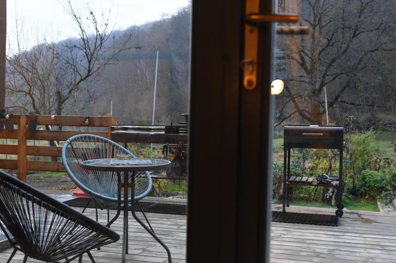 Aster Panzio Bed & Breakfast Cimpu Cetatii Exterior photo