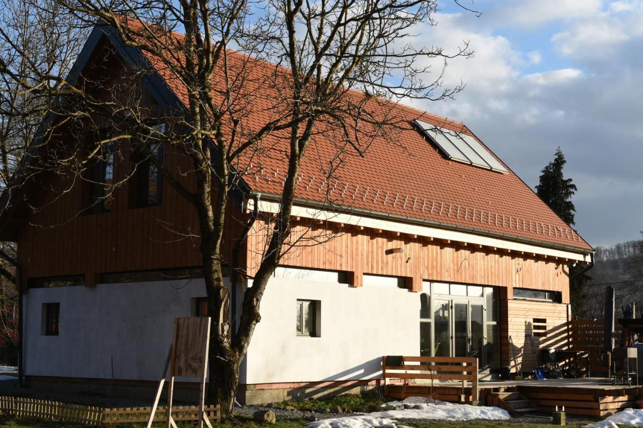 Aster Panzio Bed & Breakfast Cimpu Cetatii Exterior photo