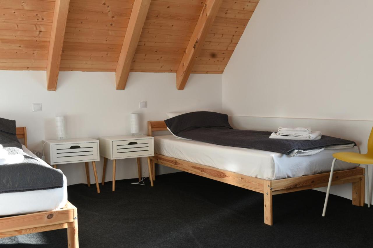 Aster Panzio Bed & Breakfast Cimpu Cetatii Exterior photo