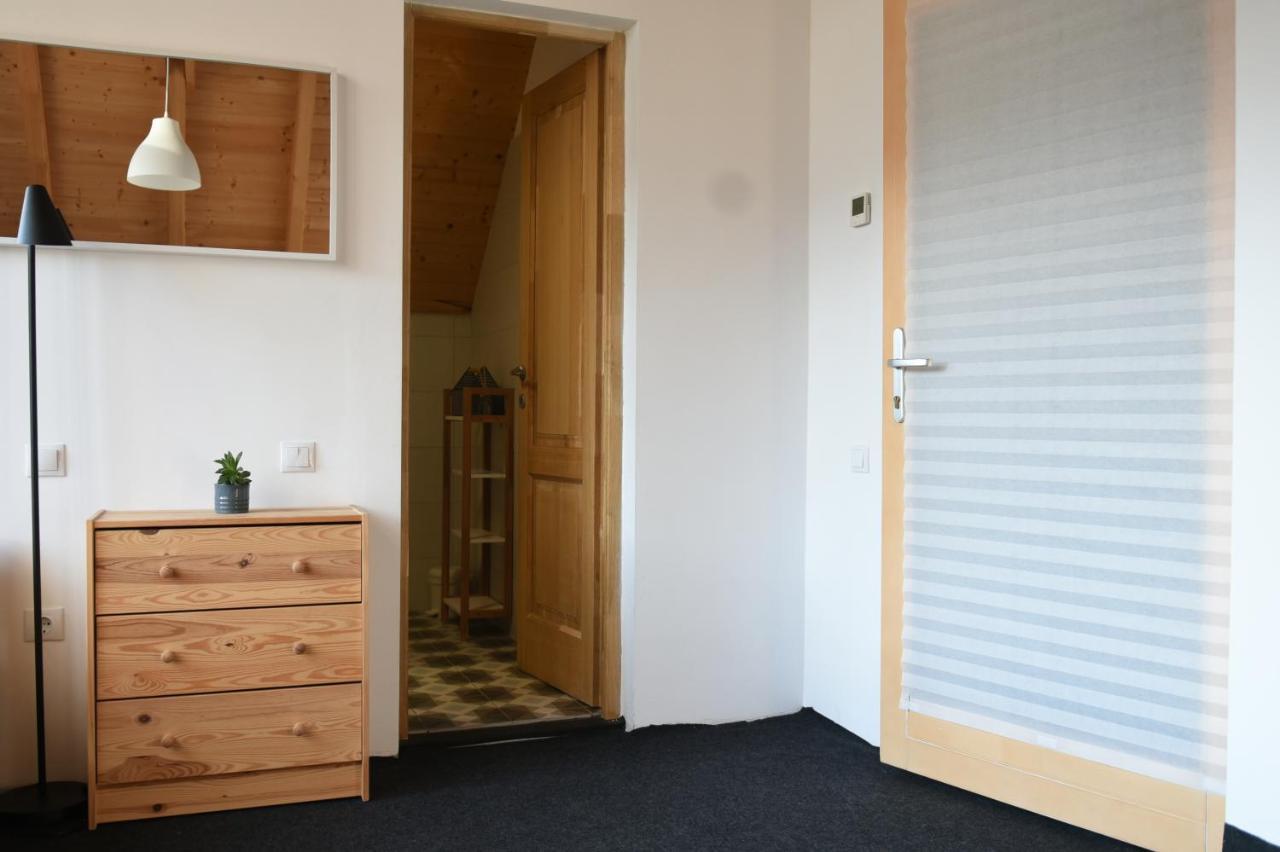 Aster Panzio Bed & Breakfast Cimpu Cetatii Exterior photo