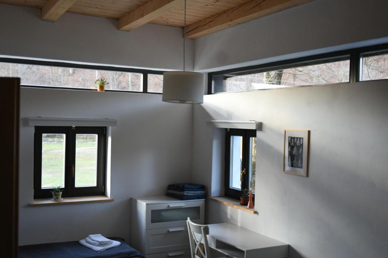Aster Panzio Bed & Breakfast Cimpu Cetatii Exterior photo