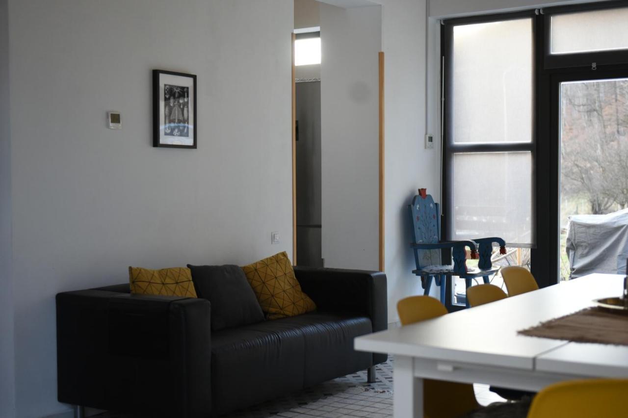 Aster Panzio Bed & Breakfast Cimpu Cetatii Exterior photo